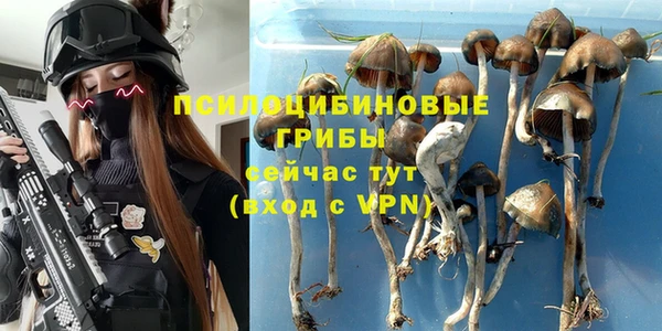 a pvp Алзамай