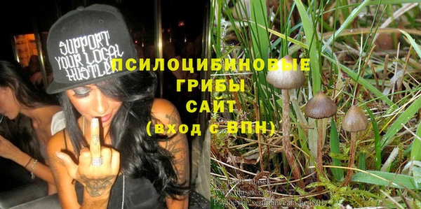 ГАЛЛЮЦИНОГЕННЫЕ ГРИБЫ Алексин