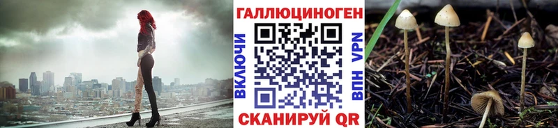 Псилоцибиновые грибы Psilocybe  Гусь-Хрустальный 