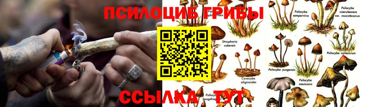 Гусь-Хрустальный  Псилоцибиновые грибы GOLDEN TEACHER  Вход с VPN 